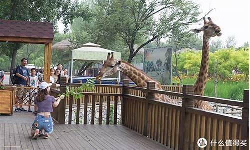北京动物园一日游旅游攻略_北京动物园一日